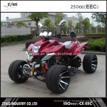 Vente en gros ATV China EEC Quad à vendre 3 roues